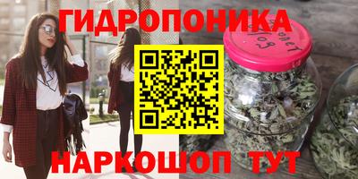 МДПВ Пушкино