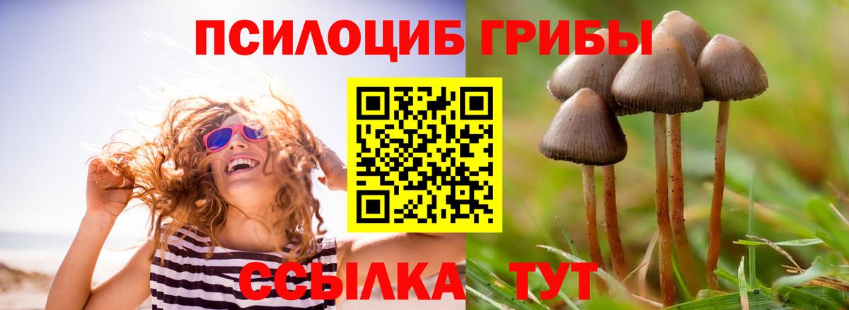 Галлюциногенные грибы Psilocybe  Галлюциногенные грибы Psilocybe  Санкт-Петербург  Вход с VPN 